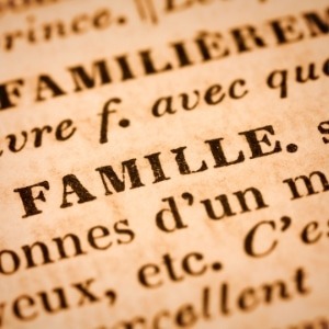 Image illustrant une définition de famille, symbolisant les liens affectifs et les relations interpersonnelles au sein d'un groupe familial.